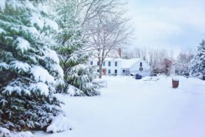 A snowy yard with a home in the background, decorated for the holidays